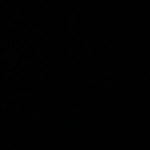 Meet your Posher, Mona